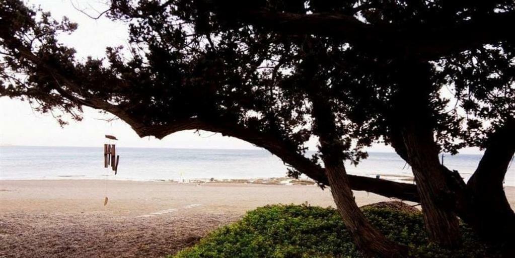 Marina Beach House لاردوس المظهر الخارجي الصورة